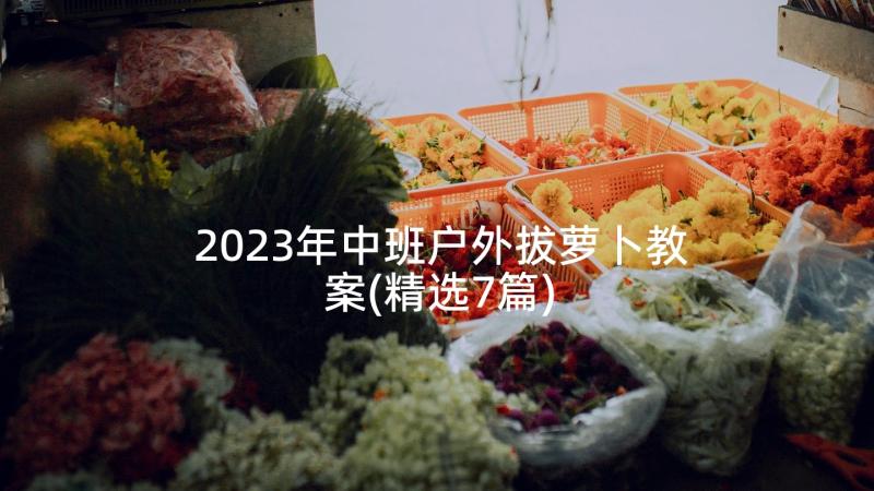 2023年中班户外拔萝卜教案(精选7篇)