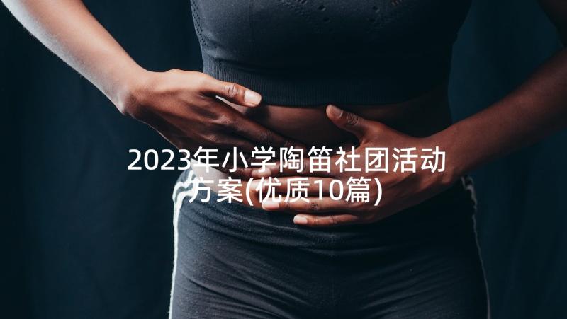 2023年小学陶笛社团活动方案(优质10篇)