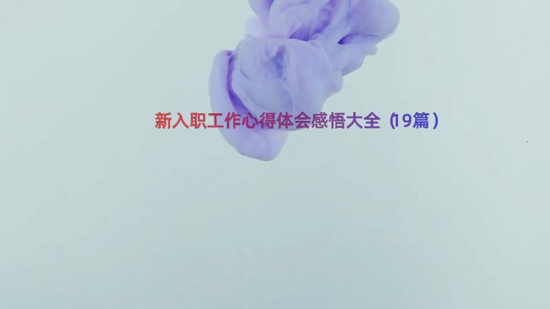 新入职工作心得体会感悟大全（19篇）