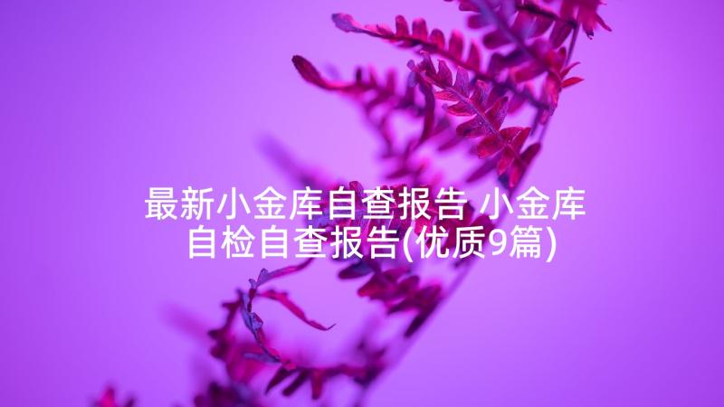 最新小金库自查报告 小金库自检自查报告(优质9篇)