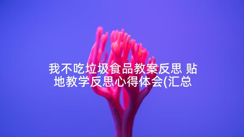 我不吃垃圾食品教案反思 贴地教学反思心得体会(汇总6篇)