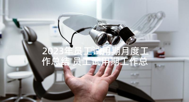 2023年员工试用期月度工作总结 员工试用期工作总结报告(模板6篇)