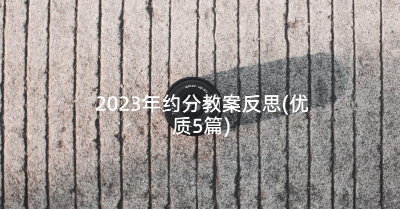 2023年约分教案反思(优质5篇)