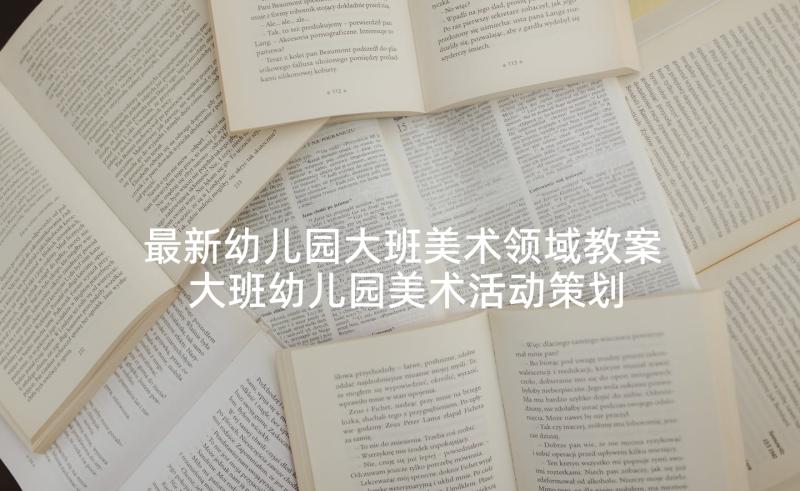 最新幼儿园大班美术领域教案 大班幼儿园美术活动策划(大全7篇)