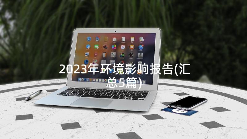 2023年环境影响报告(汇总5篇)