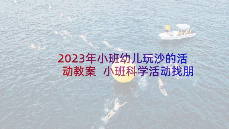 2023年小班幼儿玩沙的活动教案 小班科学活动找朋友教案(模板8篇)