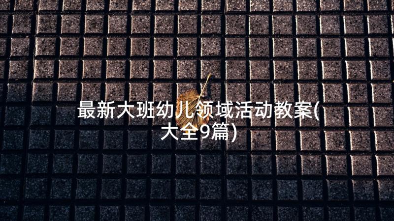 最新大班幼儿领域活动教案(大全9篇)