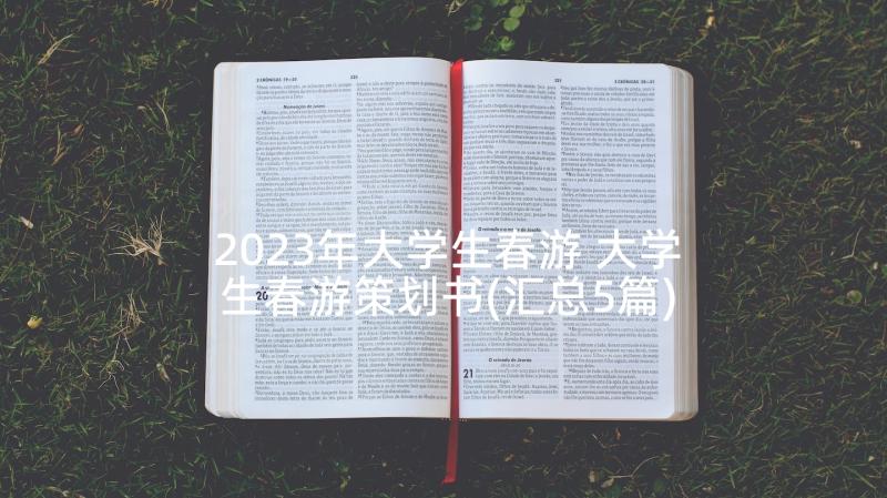 2023年大学生春游 大学生春游策划书(汇总5篇)