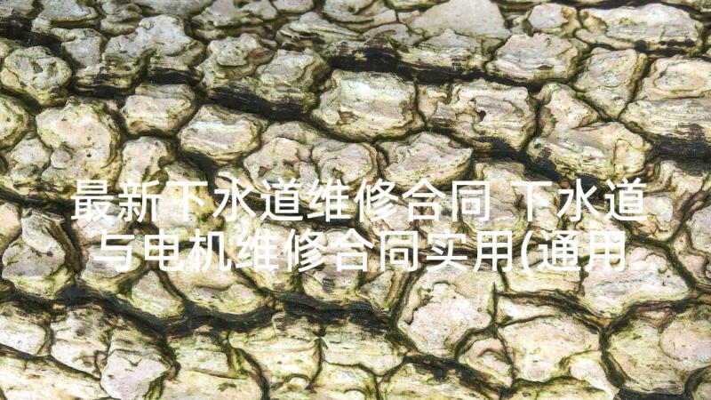 最新下水道维修合同 下水道与电机维修合同实用(通用5篇)