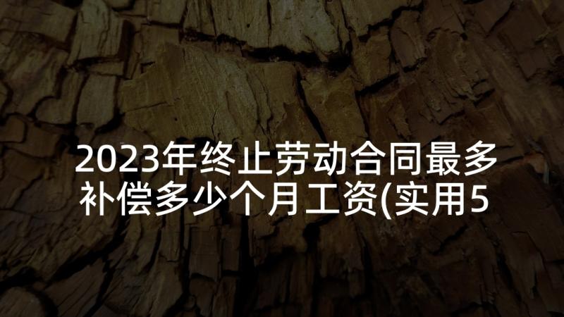 2023年终止劳动合同最多补偿多少个月工资(实用5篇)