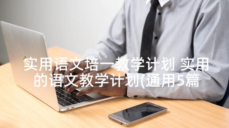 实用语文培一教学计划 实用的语文教学计划(通用5篇)