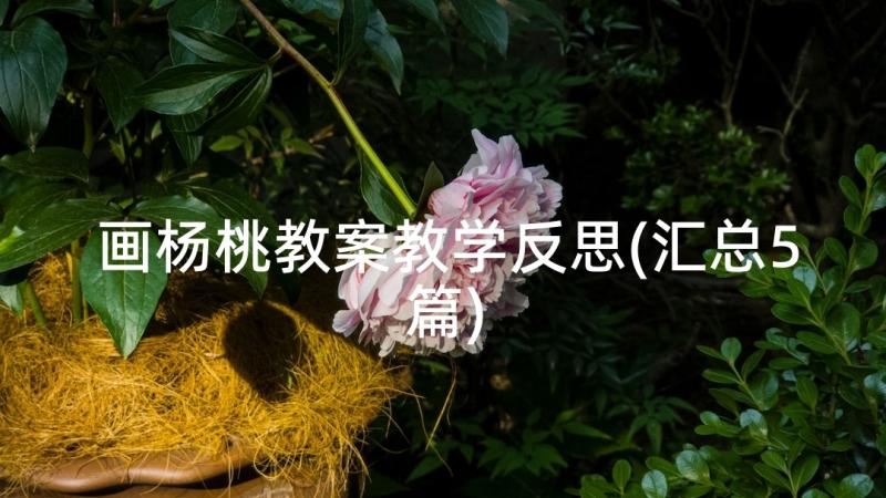 画杨桃教案教学反思(汇总5篇)