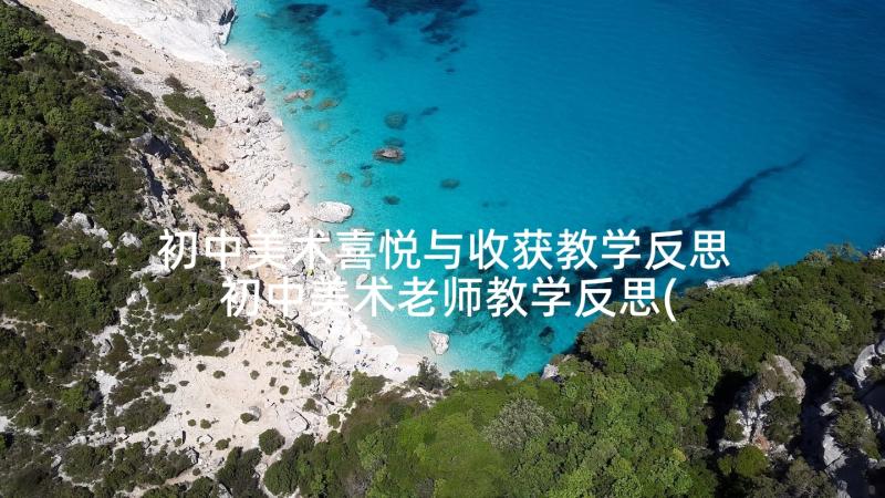 初中美术喜悦与收获教学反思 初中美术老师教学反思(优质6篇)