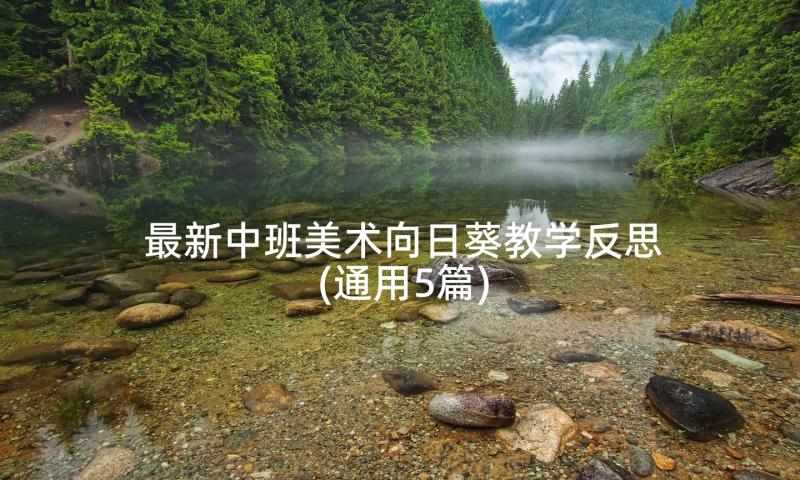 最新中班美术向日葵教学反思(通用5篇)