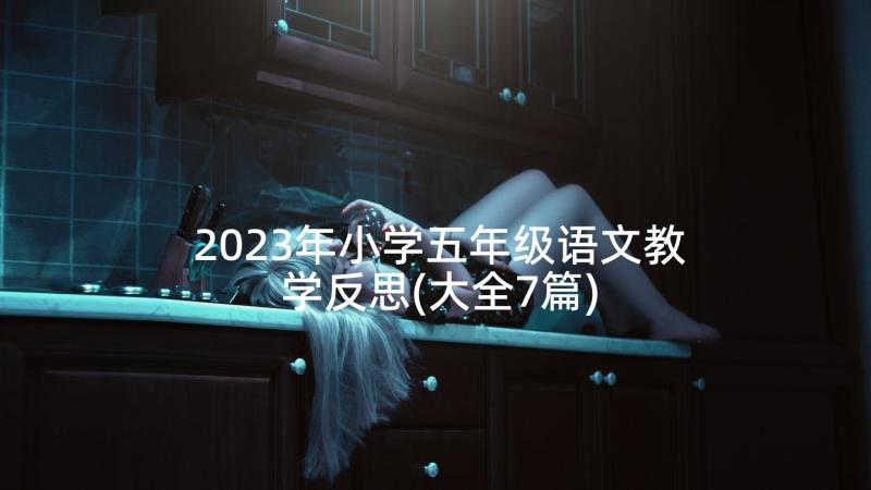 2023年小学五年级语文教学反思(大全7篇)