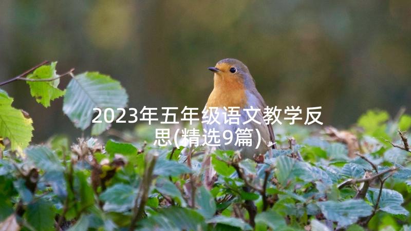 2023年五年级语文教学反思(精选9篇)