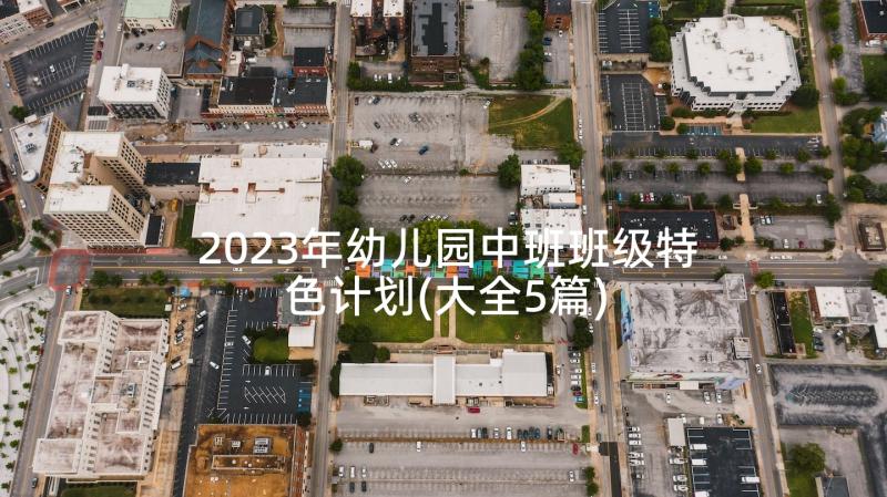 2023年幼儿园中班班级特色计划(大全5篇)