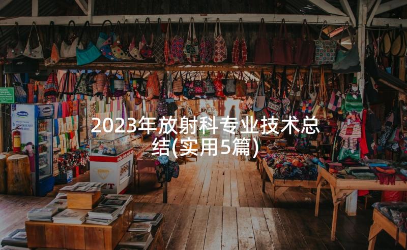 2023年放射科专业技术总结(实用5篇)