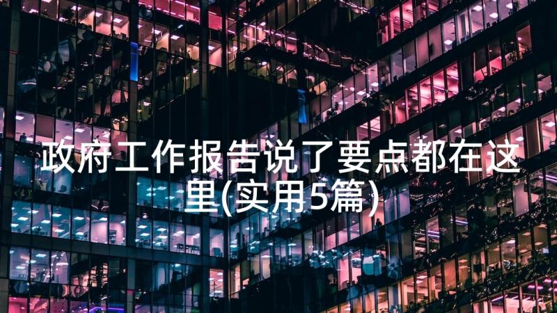 政府工作报告说了要点都在这里(实用5篇)