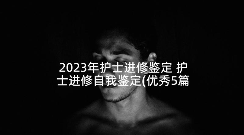 2023年护士进修鉴定 护士进修自我鉴定(优秀5篇)