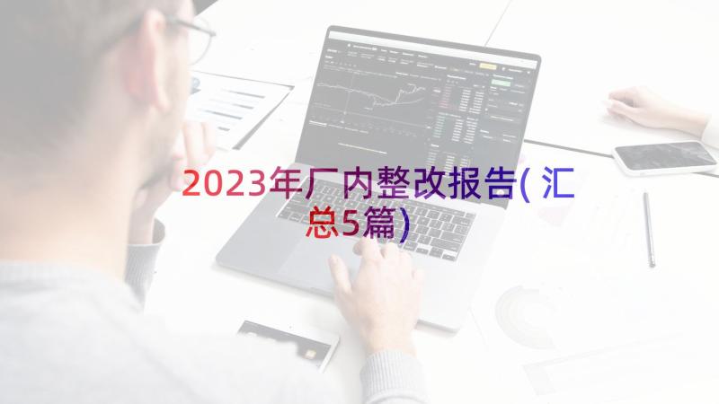 2023年厂内整改报告(汇总5篇)