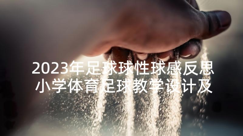 2023年足球球性球感反思 小学体育足球教学设计及教学反思(优质5篇)