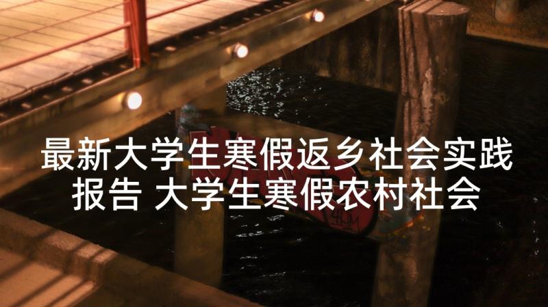 最新大学生寒假返乡社会实践报告 大学生寒假农村社会实践调查报告(大全10篇)