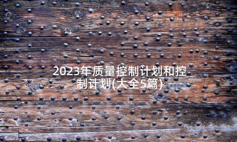 2023年质量控制计划和控制计划(大全5篇)