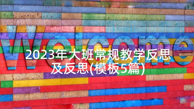 2023年大班常规教学反思及反思(模板5篇)