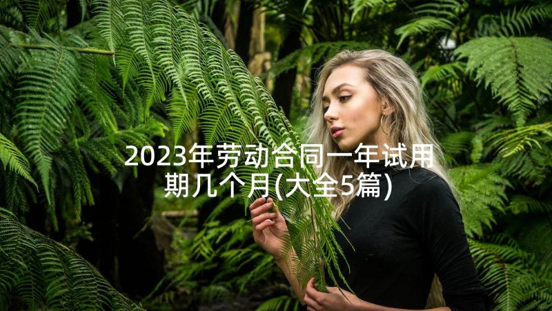 2023年劳动合同一年试用期几个月(大全5篇)