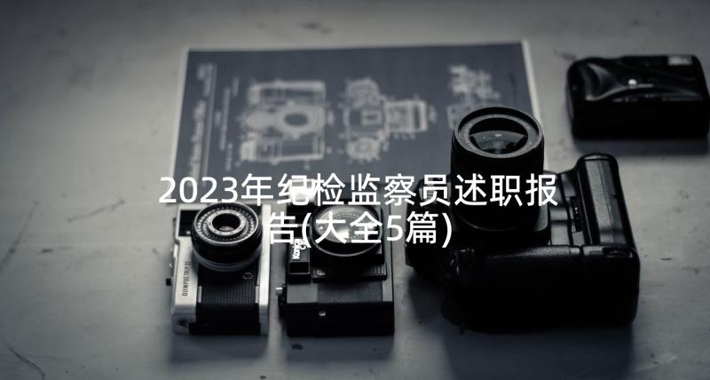 2023年纪检监察员述职报告(大全5篇)