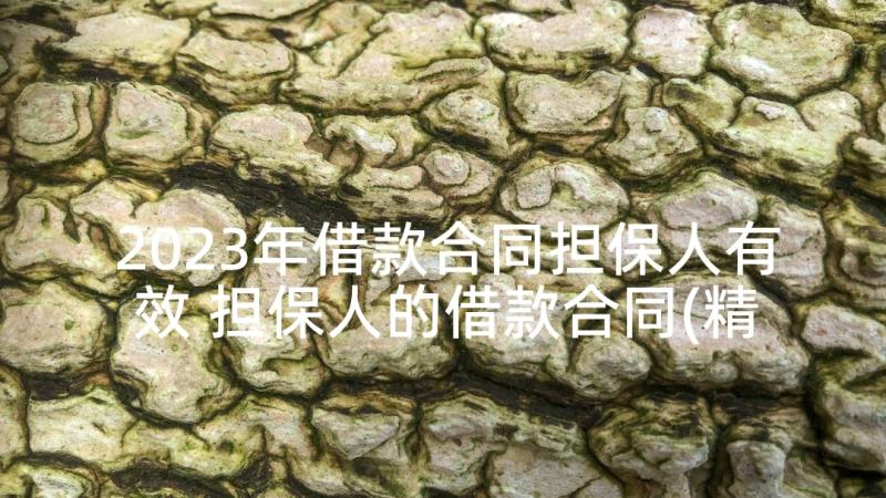 2023年借款合同担保人有效 担保人的借款合同(精选5篇)