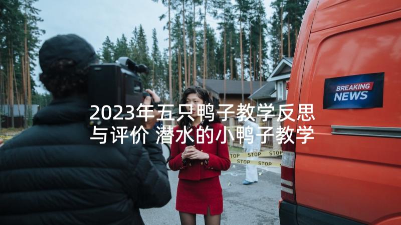 2023年五只鸭子教学反思与评价 潜水的小鸭子教学反思(汇总5篇)