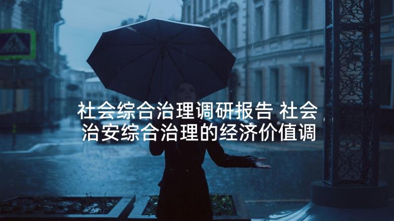 社会综合治理调研报告 社会治安综合治理的经济价值调研报告(实用5篇)