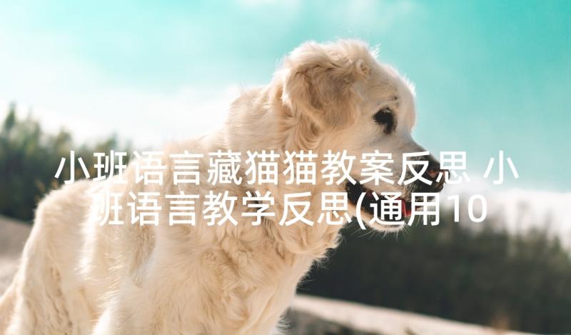 小班语言藏猫猫教案反思 小班语言教学反思(通用10篇)