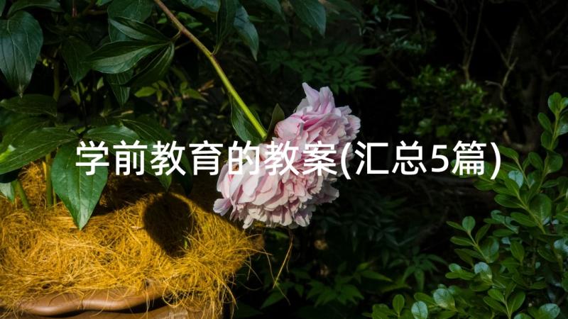 学前教育的教案(汇总5篇)