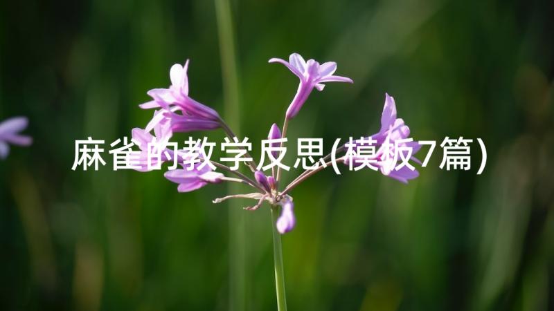 麻雀的教学反思(模板7篇)