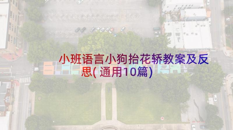 小班语言小狗抬花轿教案及反思(通用10篇)