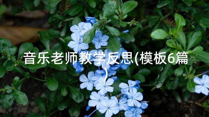 音乐老师教学反思(模板6篇)