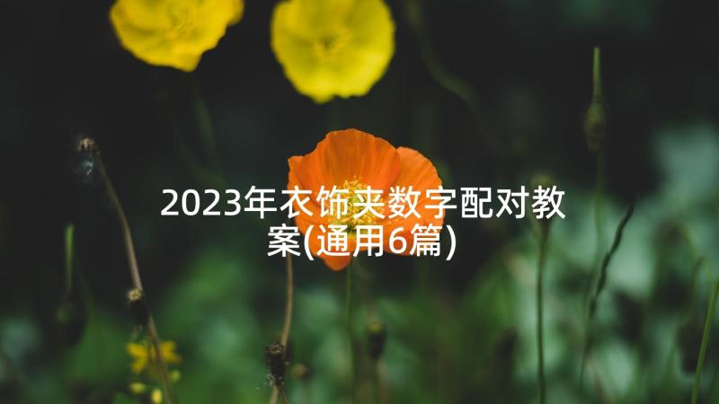 2023年衣饰夹数字配对教案(通用6篇)