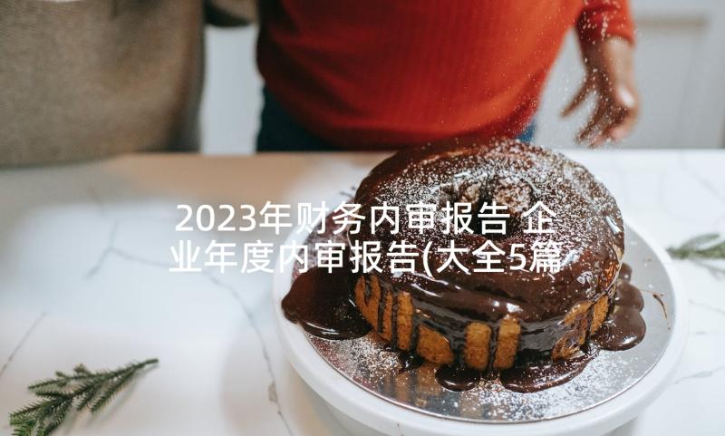 2023年财务内审报告 企业年度内审报告(大全5篇)