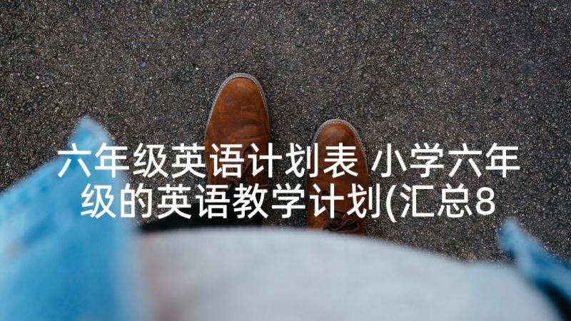 六年级英语计划表 小学六年级的英语教学计划(汇总8篇)