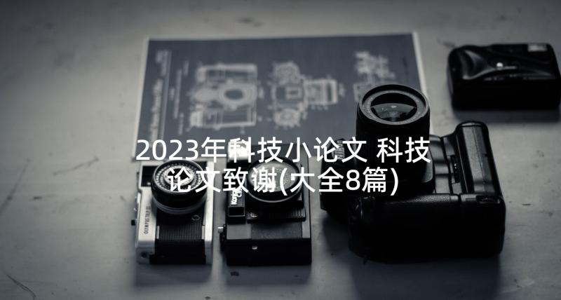 2023年科技小论文 科技论文致谢(大全8篇)