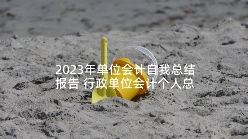 2023年单位会计自我总结报告 行政单位会计个人总结报告(汇总5篇)