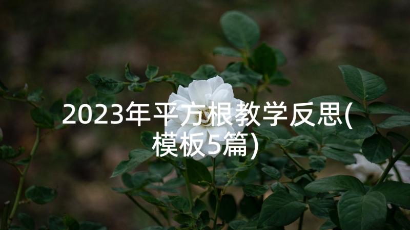 2023年平方根教学反思(模板5篇)