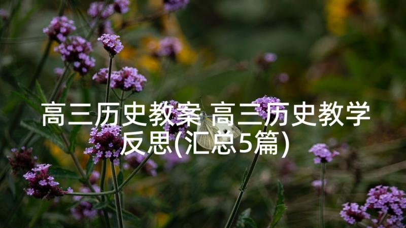 高三历史教案 高三历史教学反思(汇总5篇)