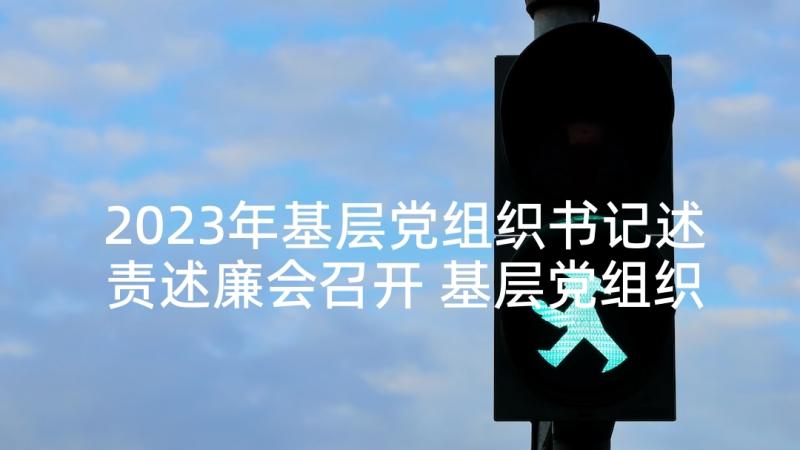 2023年基层党组织书记述责述廉会召开 基层党组织书记述职述廉报告(优质5篇)