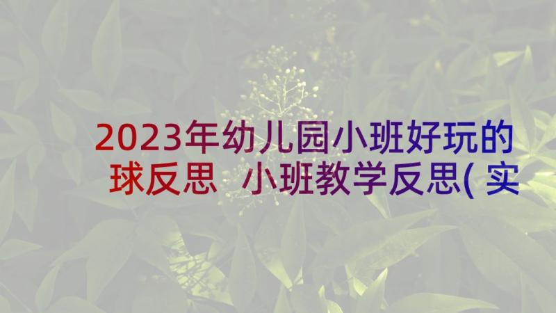 2023年幼儿园小班好玩的球反思 小班教学反思(实用6篇)