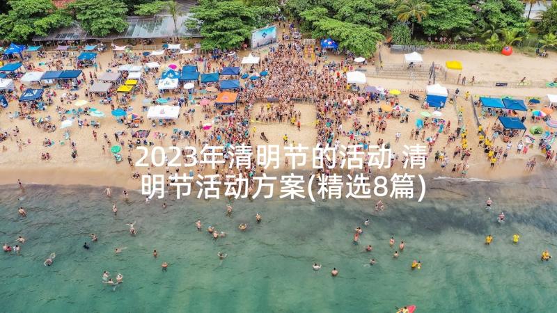 2023年清明节的活动 清明节活动方案(精选8篇)