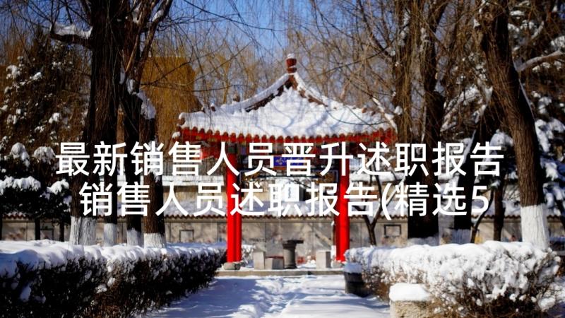 最新销售人员晋升述职报告 销售人员述职报告(精选5篇)